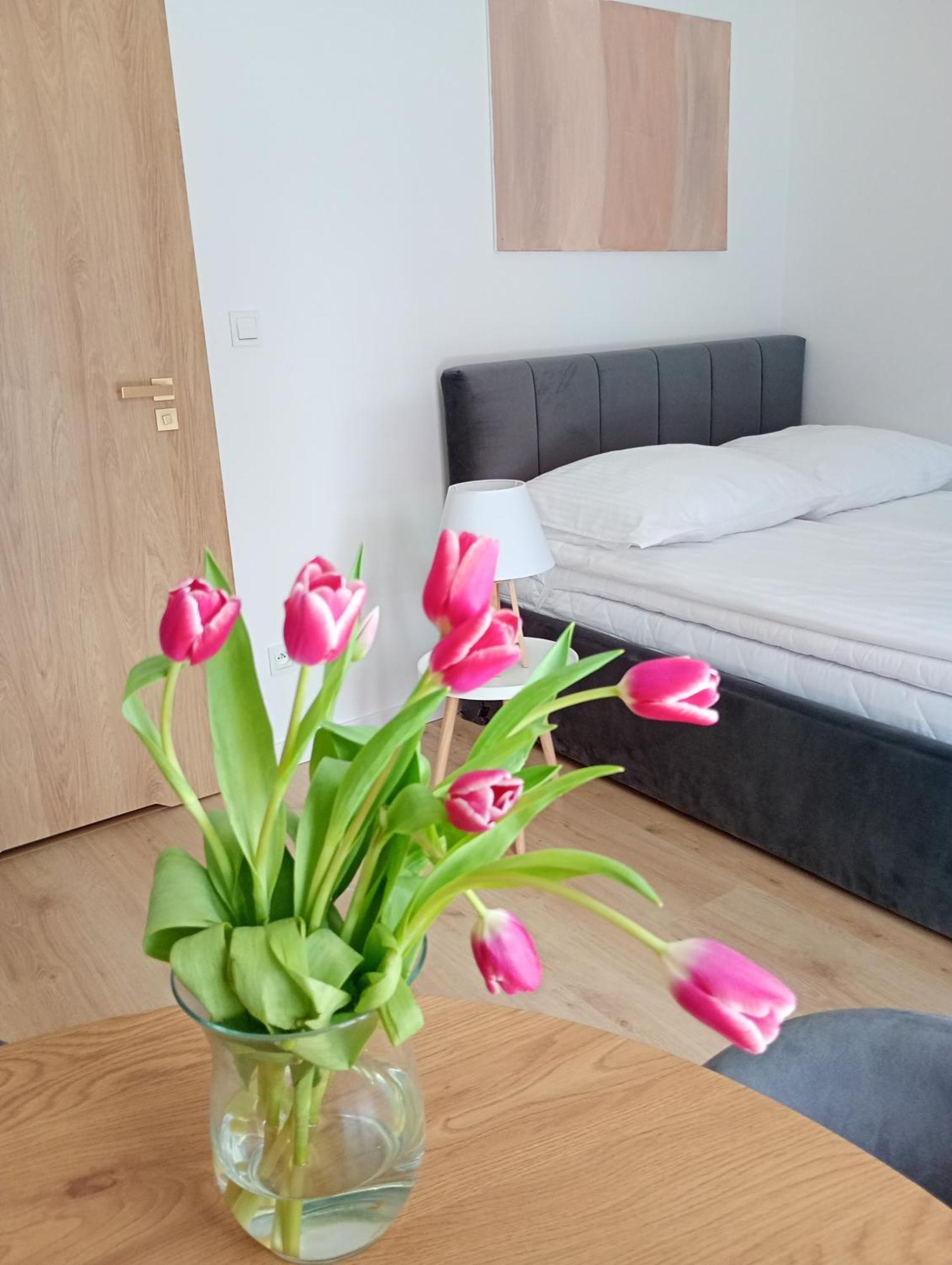 Slow Apartment